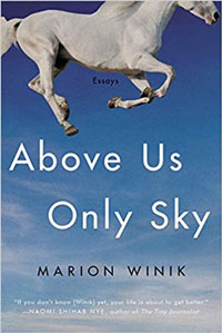 Above Us Only Sky, Marion Winik